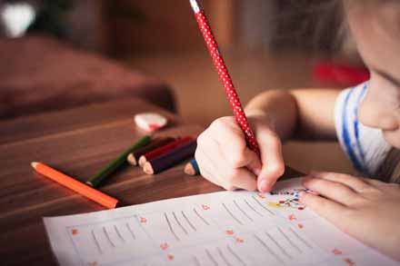 Setting Up a Homework Area